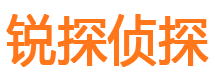 道孚市侦探公司